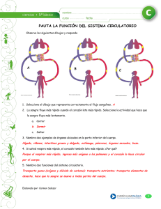 PAUTA LA FUNCIÓN DEL SISTEMA CIRCULATORIO