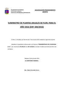 SUMINISTRO DE PLANTAS ANUALES DE FLOR, PARA EL AÑO