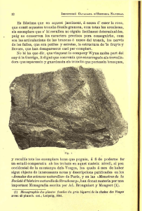 Es llástirna que en aquest jasciment, á causa d: esser la roca, que