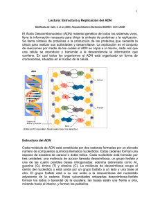 1 Lectura: Estructura y Replicación del ADN El Ácido