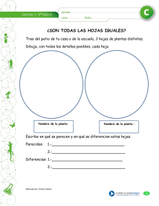 ¿SON TODAS LAS HOJAS IGUALES?