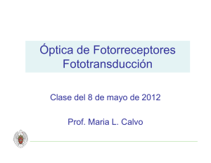 Óptica de Fotorreceptores Fototransducción