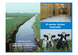 El sector lácteo holandés