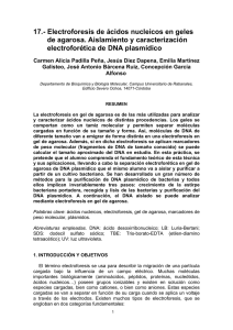 Electroforesis de ácidos nucleicos en geles de agarosa