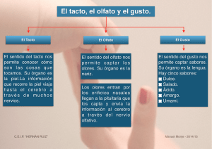 “El tacto, el olfato y el gusto”.