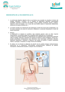 endoscopia de la vía digestiva alta