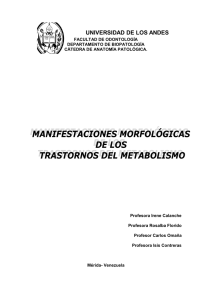 universidad de los andes