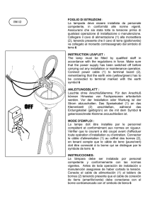 FOGLIO DI ISTRUZIONI :