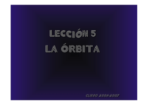 Septum orbitario