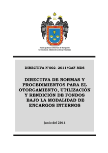 directiva de normas y procedimientos para el otorgamiento