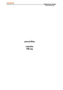 amoxicilina cápsulas 500 mg