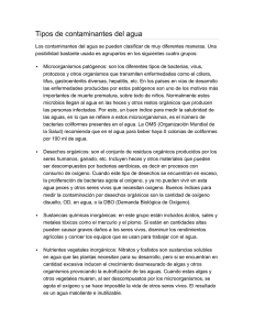 Tipos de contaminantes del agua