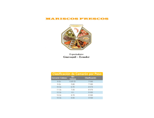 Clasificación de Camarón por Peso