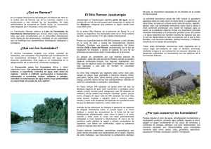 ¿Qué es Ramsar? ¿Qué son los humedales? El Sitio Ramsar