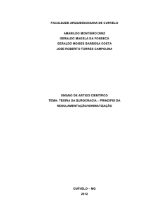 TEORIA DA BUROCRACIA - PRINCIPIO DA