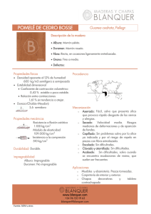 POMELÉ DE CEDRO BOSSE - Maderas y Chapas Blanquer