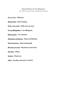 Spanish Phrases for the Delegation Provided by Mocky Day and