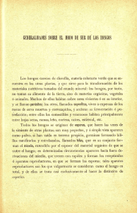 GENERALIDADES SOBRE EL MODO DE SER DE LOS HONGOS