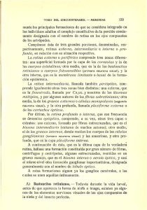 mente las principales formaciones de que se considera integrado