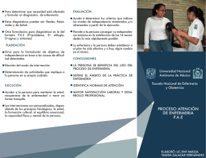 proceso atención de enfermeria pae