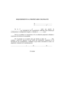 REQUERIMIENTO AL PROPIETARIO COLINDANTE