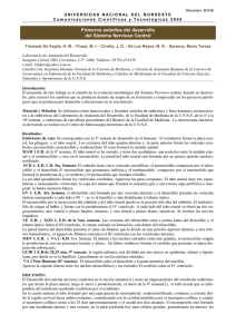 Primeros estadios del desarrollo del Sistema Nervioso Central