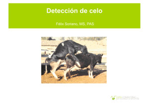 Detección de celo - Apn Consulting, LLC