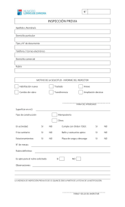 inspección previa