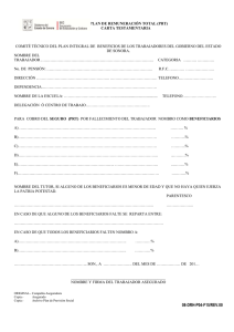 plan de remuneración total (prt)