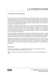 01 La panificación: acción de las levaduras PDF