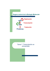 ADN ARN Proteínas Tema 7. Transcripción en procariotas