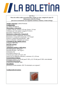 E 771-1 Pieza de arcilla cocida con perforación vertical, no visto