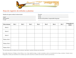 Hoja de Registro de Árboles y Plantas para Observación Escolar