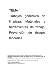 Limpieza, Riesgos Laborales y Herramientas: Guía de Capacitación