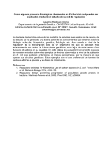 Como algunos procesos fisiológicos observados en Escherichia coli