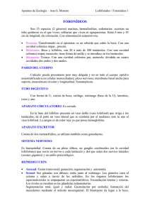 FORONÍDEOS