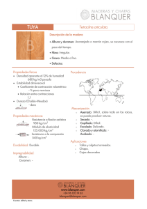 Madera de Tuya: Características y Propiedades (Tetraclinis articulata)