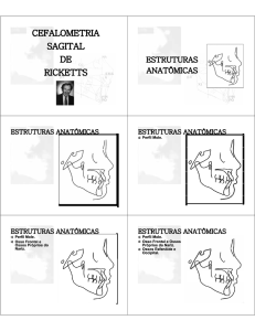 cefalometria sagital cefalometria sagital de sagital de