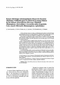 Ensayo del hongo entomopatógeno Beauveria bassiana (Balsamo