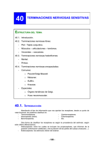 Terminaciones Nerviosas Sensitivas: Anatomía