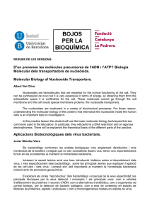D`on provenen les molècules precursores de l`ADN i l`ATP? Biologia