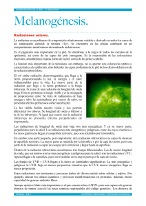 Melanina y Melanogénesis.