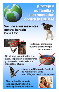 Llame a la Oficina de Control de Animales si tiene