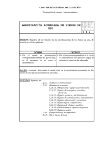 AMORTIZACIÓN ACUMULADA DE BIENES DE USO