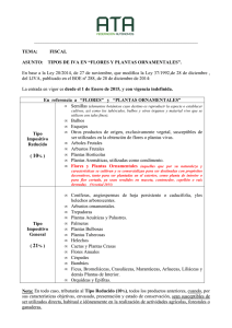 tipos de iva en flores y plantas ornamentales