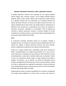 Aparato reproductor femenino: útero y glándula mamaria