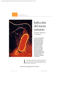 Descargar PDF