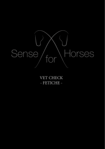 SenseforHorses