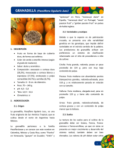 1. DESCRIPCIÓN • Fruto en forma de baya de cubierta