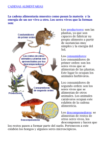 CADENAS ALIMENTARIAS